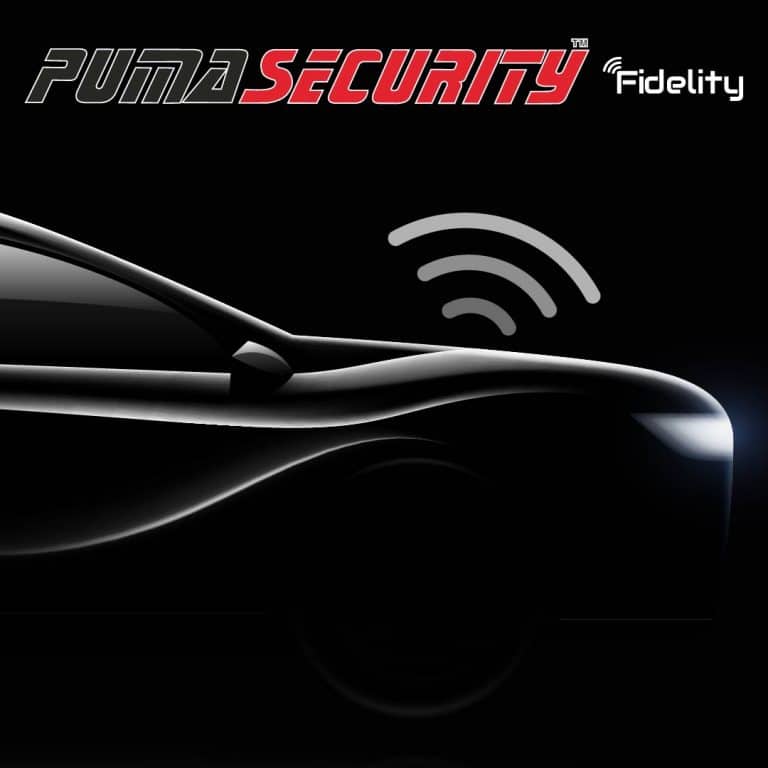 puma security service